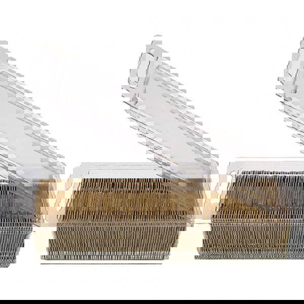 Single Edge Knife Blade: 38 mm Blade Length